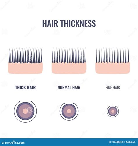 human hair thickness chart